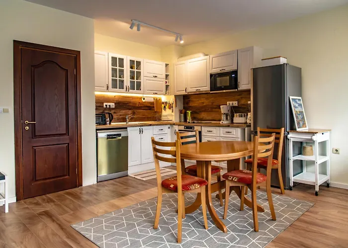 Bansko Ski Apartment 班斯科