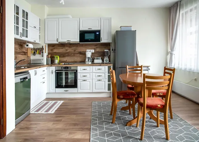 Bansko Ski Apartment 公寓 *